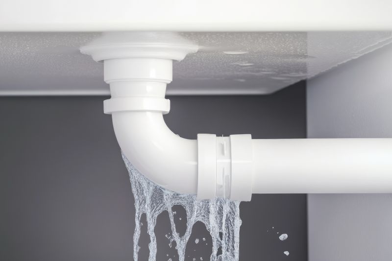 Toilet Leak Repair in Denver, CO